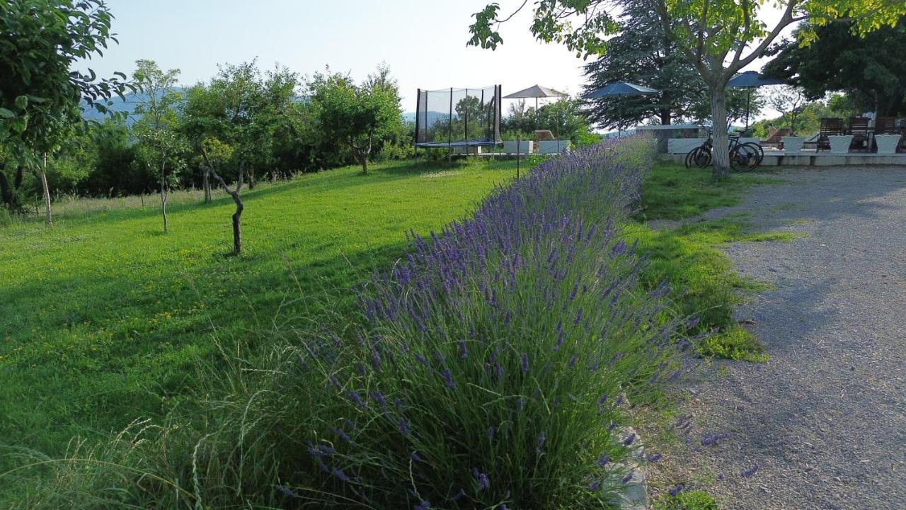 Casa Di Oliva-House With Heated Pool & Jacuzzi In Trilj, Croatia Villa Luaran gambar